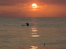 Alba nella baia