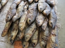Pesce affumicato 