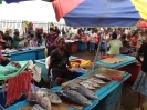 Banco del pesce a Honiara