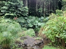 Jardins d'eau