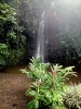 Jardins d'eau