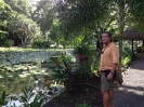 Jardins d'eau
