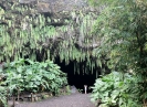 Le grotte