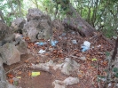 Chicken Island ... rifiuti