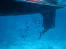 Pulizia chiglia con aiutanti