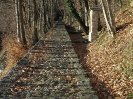 Via Crucis verso il Convento del Bigorio