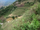 VIETNAM Mu Cang Chai