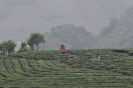 VIETNAM Muong Lo